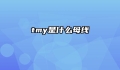 tmy是什么母线