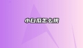 小白瓜怎么挑