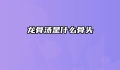 龙骨汤是什么骨头