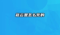 赵云是怎么死的