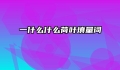 一什么什么荷叶填量词