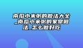 南瓜小米粥的做法大全_南瓜小米粥的家常做法_怎么做好吃