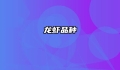 龙虾品种
