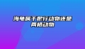海龟属于爬行动物还是两栖动物