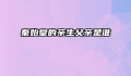秦始皇的亲生父亲是谁