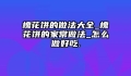 槐花饼的做法大全_槐花饼的家常做法_怎么做好吃.
