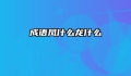 成语凤什么龙什么