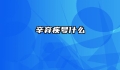 辛弃疾号什么