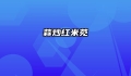 蒜炒红米苋