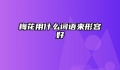 梅花用什么词语来形容好