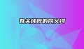 有关纯粹的同义词