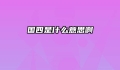 国四是什么意思啊