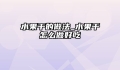 水果干的做法_水果干怎么做好吃