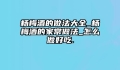杨梅酒的做法大全_杨梅酒的家常做法_怎么做好吃.