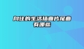 向往的生活插曲片尾曲有哪些