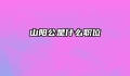 山阳公是什么职位