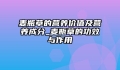 麦瓶草的营养价值及营养成分_麦瓶草的功效与作用
