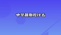 中华螽斯吃什么