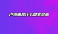 卢婧珊是什么国家混血