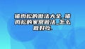 猪肉松的做法大全_猪肉松的家常做法_怎么做好吃.