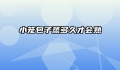 小笼包子蒸多久才会熟
