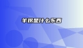 羊拐是什么东西
