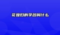 花媳妇的学名叫什么