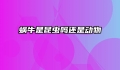 蜗牛是昆虫吗还是动物