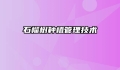 石榴树种植管理技术