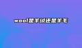 wool是羊绒还是羊毛