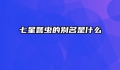 七星瓢虫的别名是什么