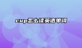 cup怎么读英语单词