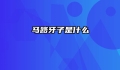 马路牙子是什么