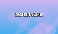 鱼都有什么种类
