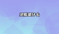 灵脂是什么