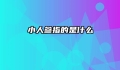 小人参指的是什么