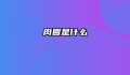 肉圆是什么