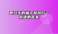 两只手的袖子和风打一成语的答案