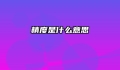 精度是什么意思