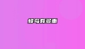 蜂鸟有多重