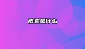 皮套是什么