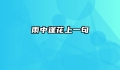 雨中逢花上一句