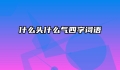什么头什么气四字词语