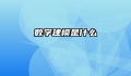 数学建模是什么