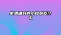 家里抓到的小蜘蛛吃什么