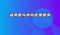 雄鹰是鸟类吗还是兽类