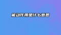 能动作用是什么意思