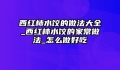 西红柿水饺的做法大全_西红柿水饺的家常做法_怎么做好吃
