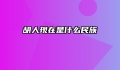 胡人现在是什么民族
