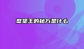蟹堡王的秘方是什么